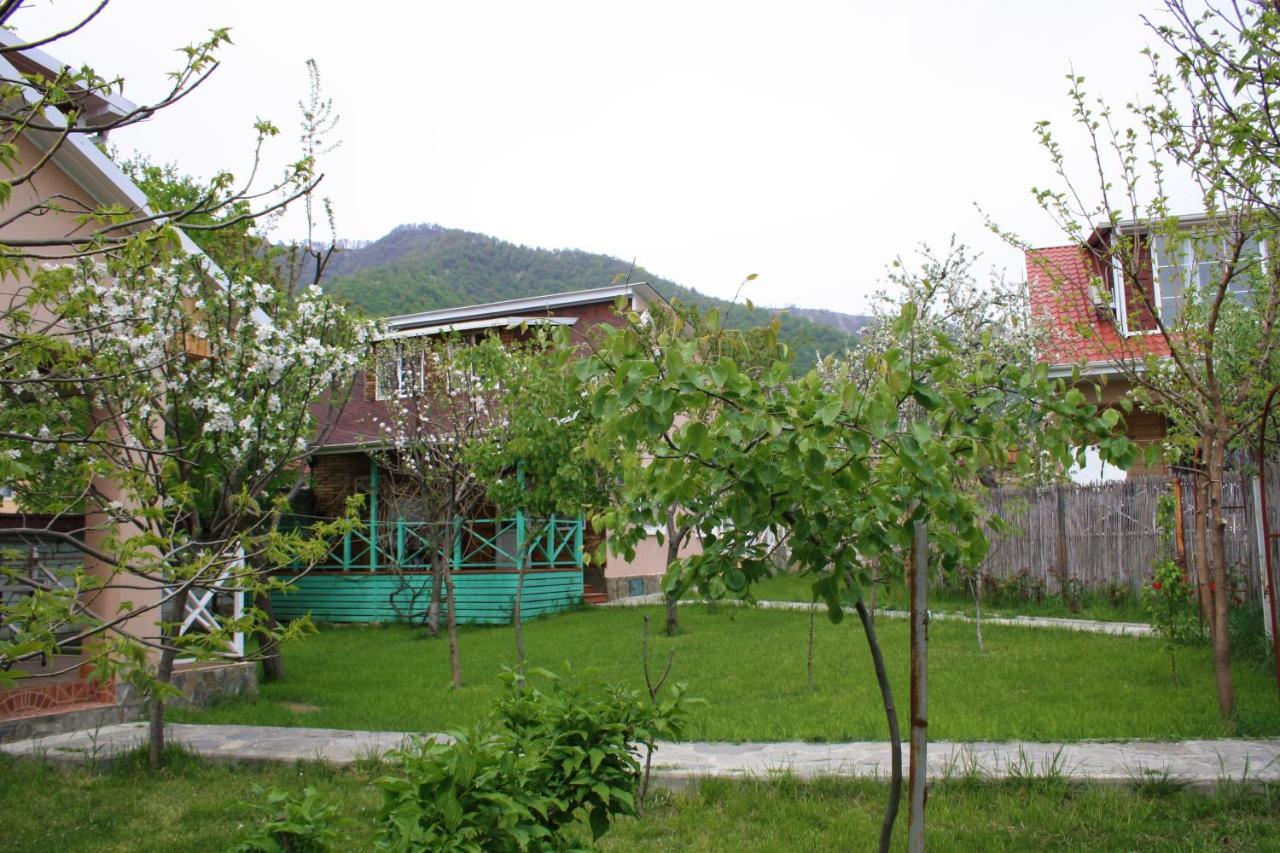 Green Garden Gabala Villas&Cottages Exterior foto